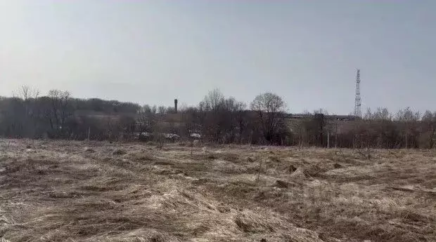 Участок в Московская область, Серпухов городской округ, с. Липицы  ... - Фото 1