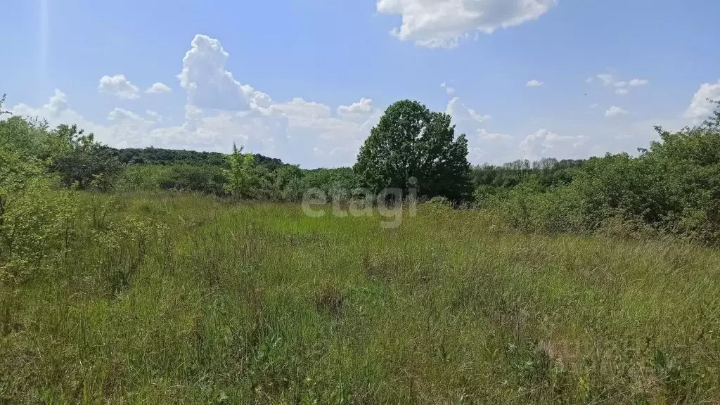 Участок в Белгородская область, Белгородский район, Беломестненское ... - Фото 0