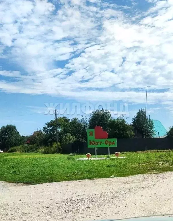 Участок в Новосибирская область, Колыванский район, д. Юрт-Ора ... - Фото 1