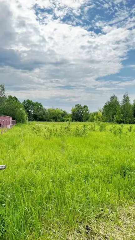 Участок в Чувашия, Моргаушский муниципальный округ, д. Яраккасы  (12.0 ... - Фото 0