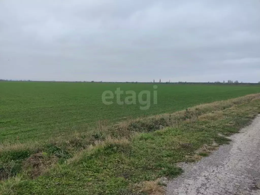 Участок в Крым, Советский район, Ильичевское с/пос, с. Восточное ул. ... - Фото 1