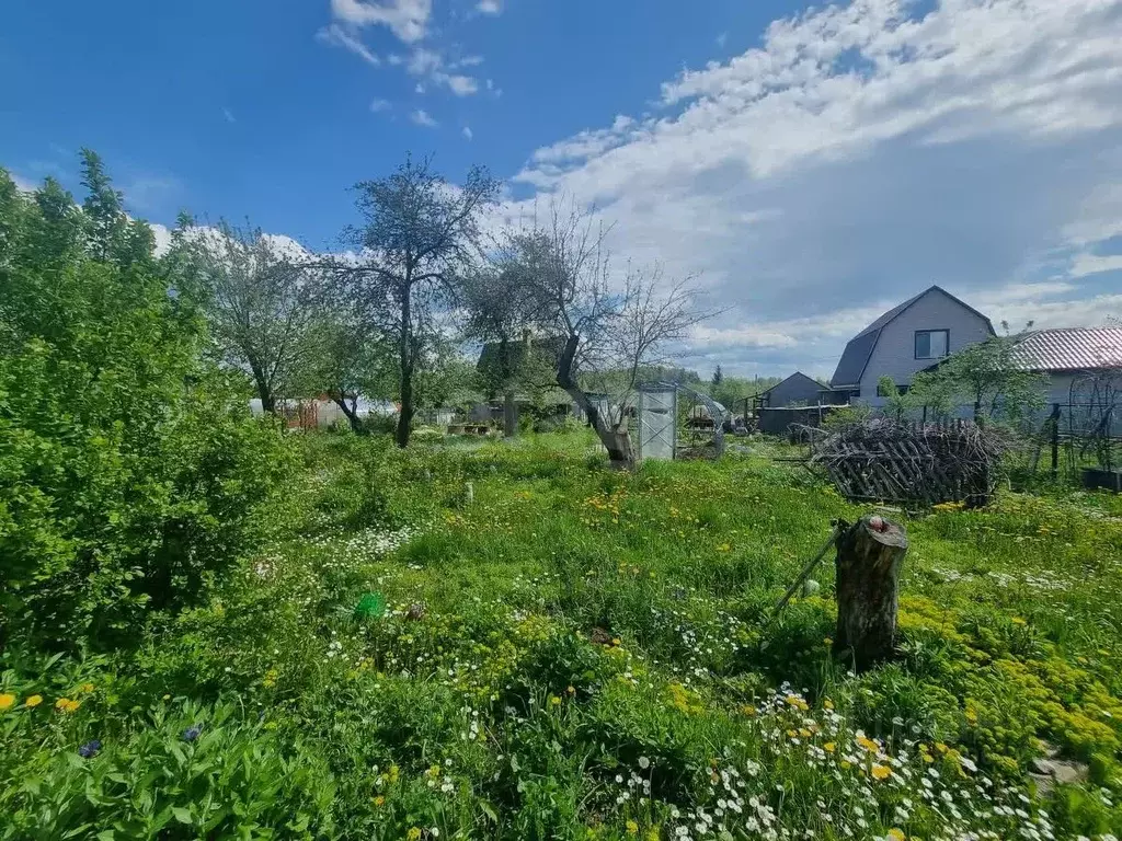 Дом в Смоленская область, Смоленск Черничный сад СНТ, ул. 3-я Дачная, ... - Фото 2