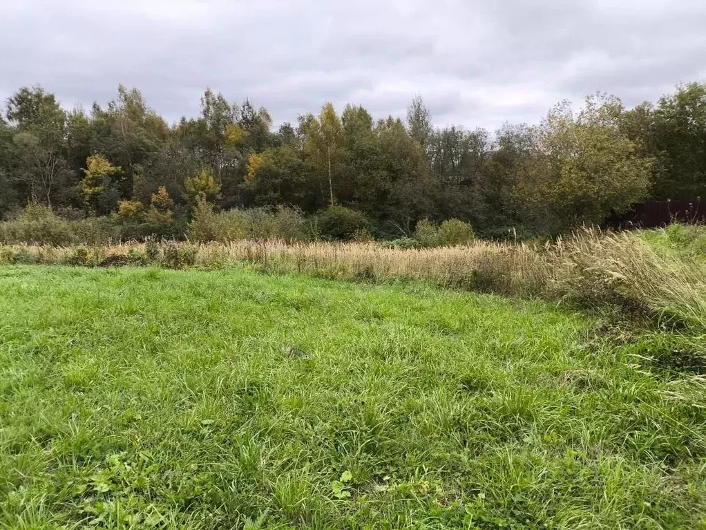 Участок в Московская область, Клин городской округ, д. Косово  (9.84 ... - Фото 2