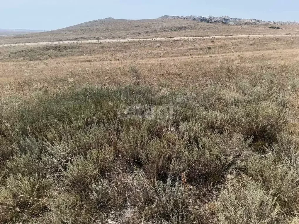 Участок в Крым, Ленинский район, с. Калиновка ул. Абденановой (6.0 ... - Фото 1