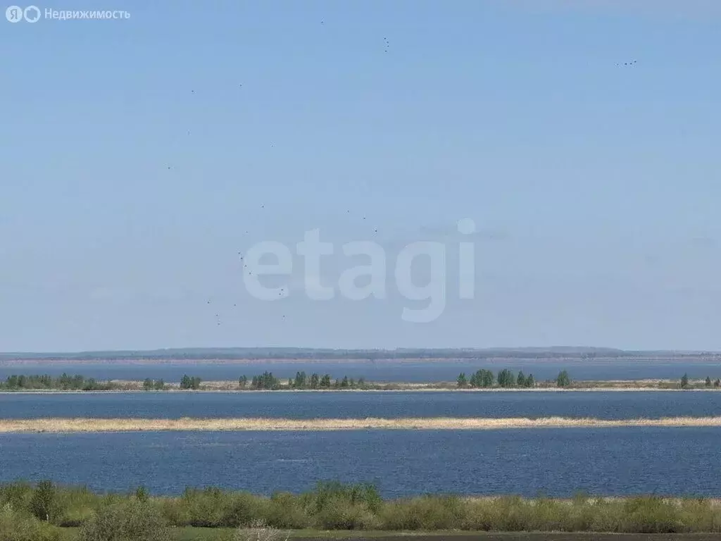 Участок в Тукаевский район, Малошильнинское сельское поселение, село ... - Фото 2
