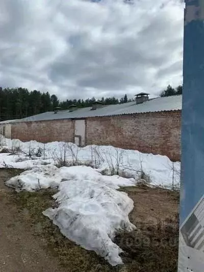 Производственное помещение в Вологодская область, с. Тарногский ... - Фото 1