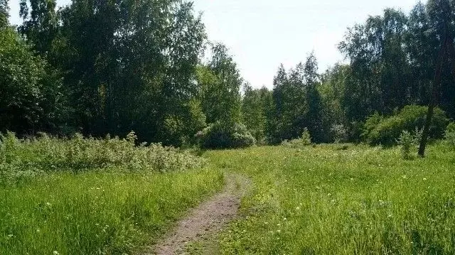 Участок в Челябинская область, Сосновский район, Кременкульское с/пос, ... - Фото 1