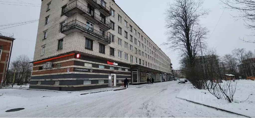 Торговая площадь в Ленинградская область, Никольское Тосненский район, ... - Фото 0