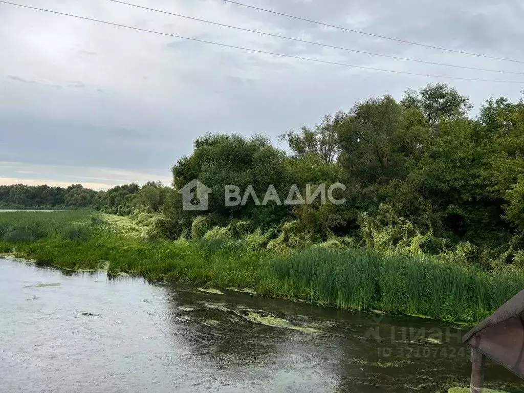 Участок в Пензенская область, с. Бессоновка ул. Карьер (150.0 сот.) - Фото 0