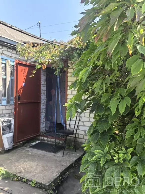 Дом в Рязанская область, Новомичуринск г. Пронский муниципальный ... - Фото 2