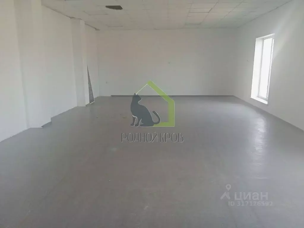 Помещение свободного назначения в Самарская область, Сызрань ул. ... - Фото 1