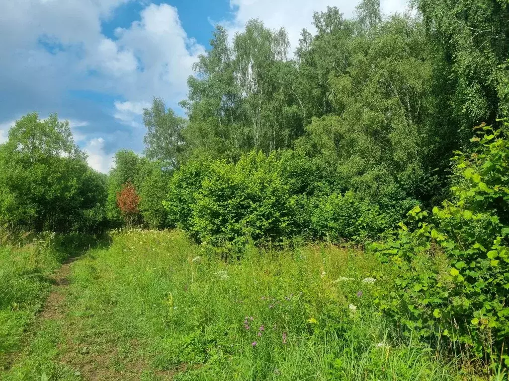 Участок в Калужская область, Жуковский муниципальный округ, Высокиничи ... - Фото 2