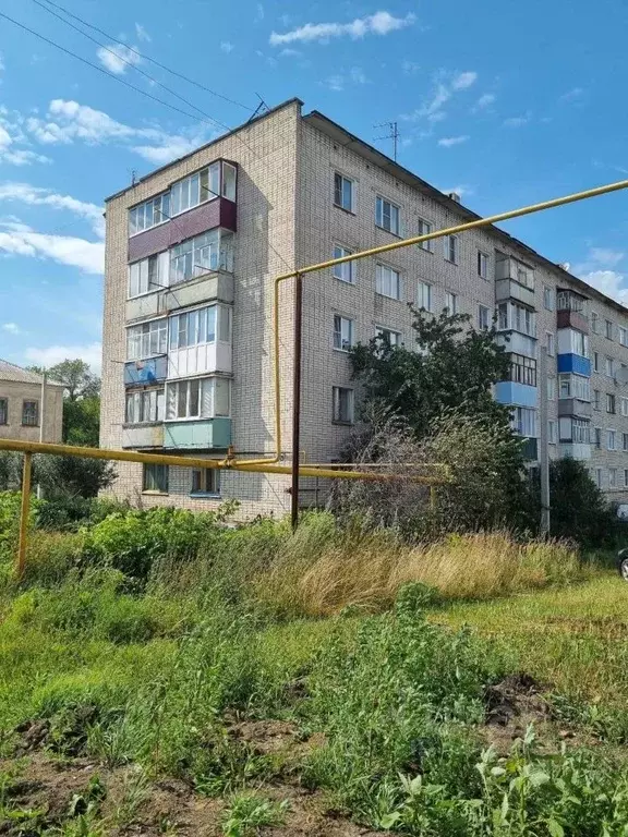 2-к кв. Чувашия, Алатырь ул. Белинского, 30 (46.8 м) - Фото 1