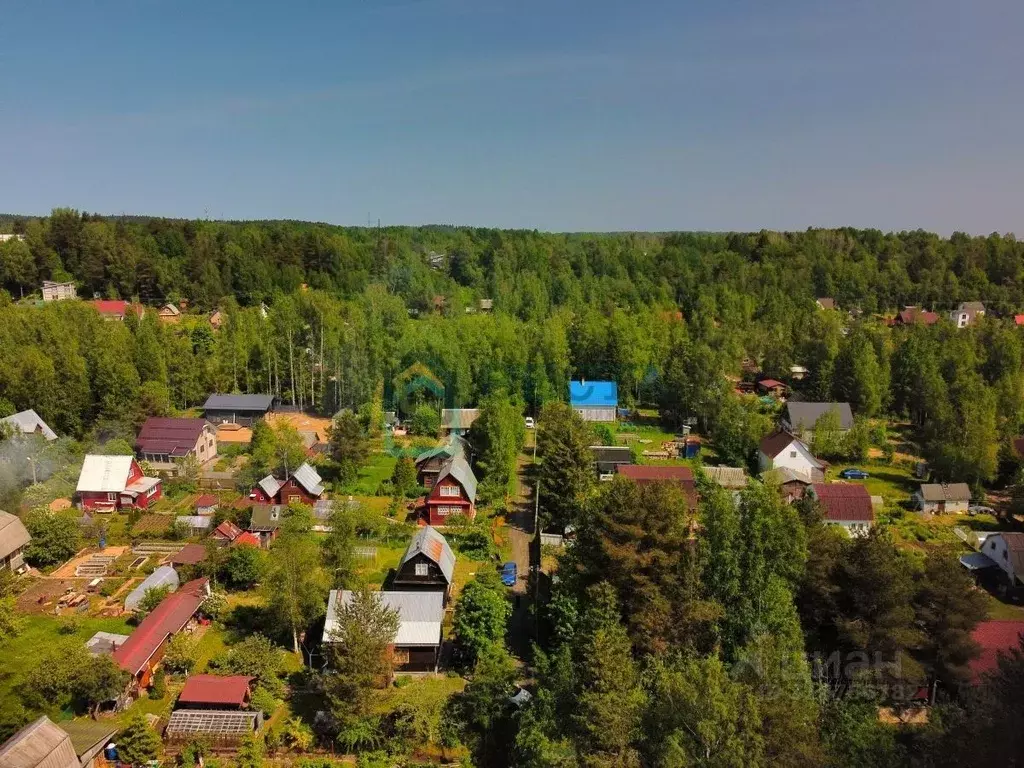 Участок в Ленинградская область, Всеволожский район, Куйвозовское ... - Фото 0