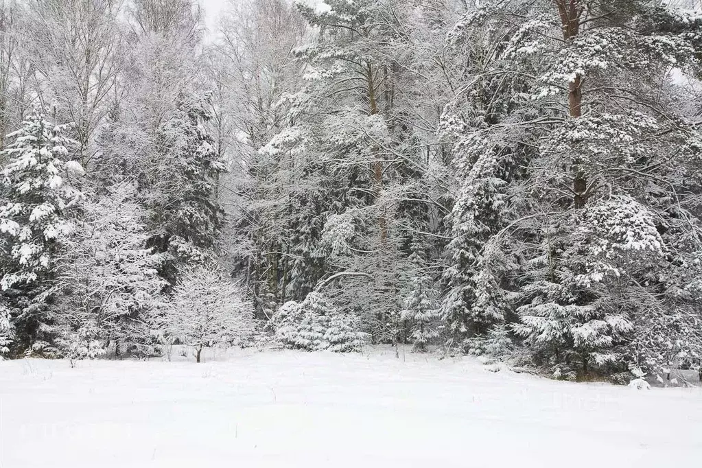 Участок в Московская область, Одинцовский городской округ, пос. ... - Фото 2