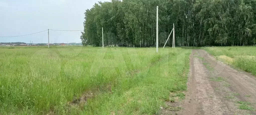 Участок 20 сот. (ИЖС) - Фото 0