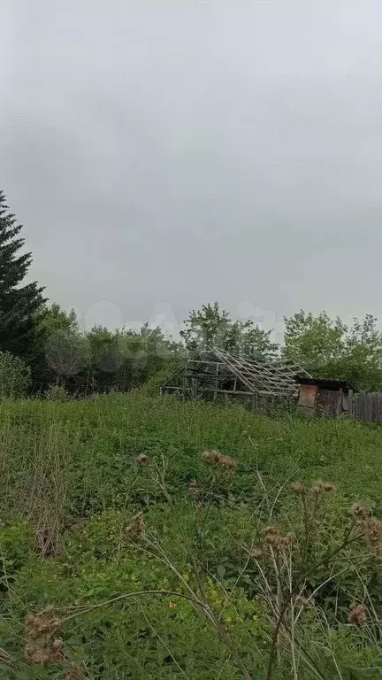 Дача 30 м на участке 5,6 сот. - Фото 1