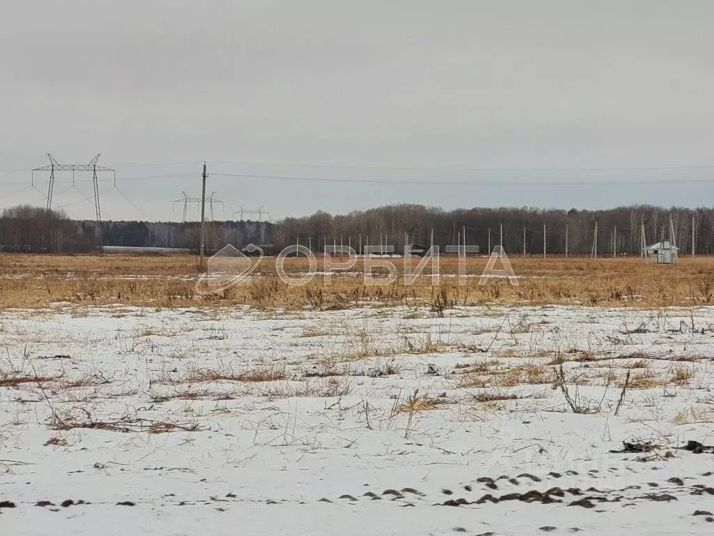 Участок в Тюменская область, Тюменский район, с. Каменка  (8.0 сот.) - Фото 1