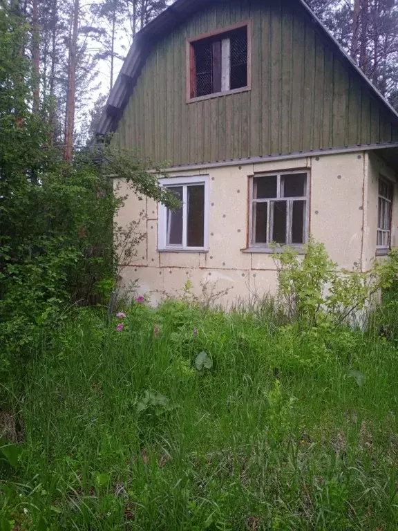 Помещение свободного назначения в Красноярский край, Шушенский ... - Фото 0