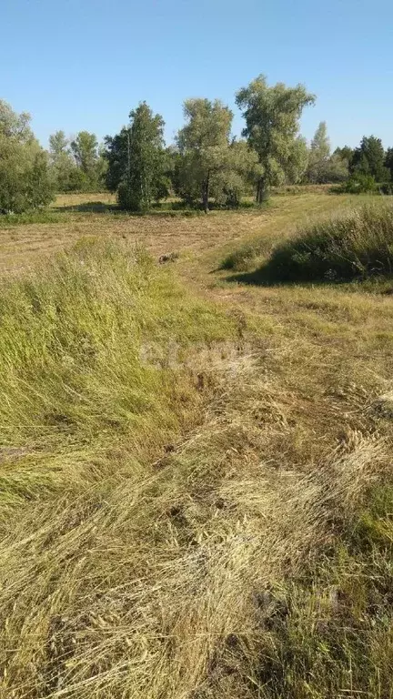 Участок в Оренбургская область, Тюльганский район, с. Владимировка ... - Фото 0