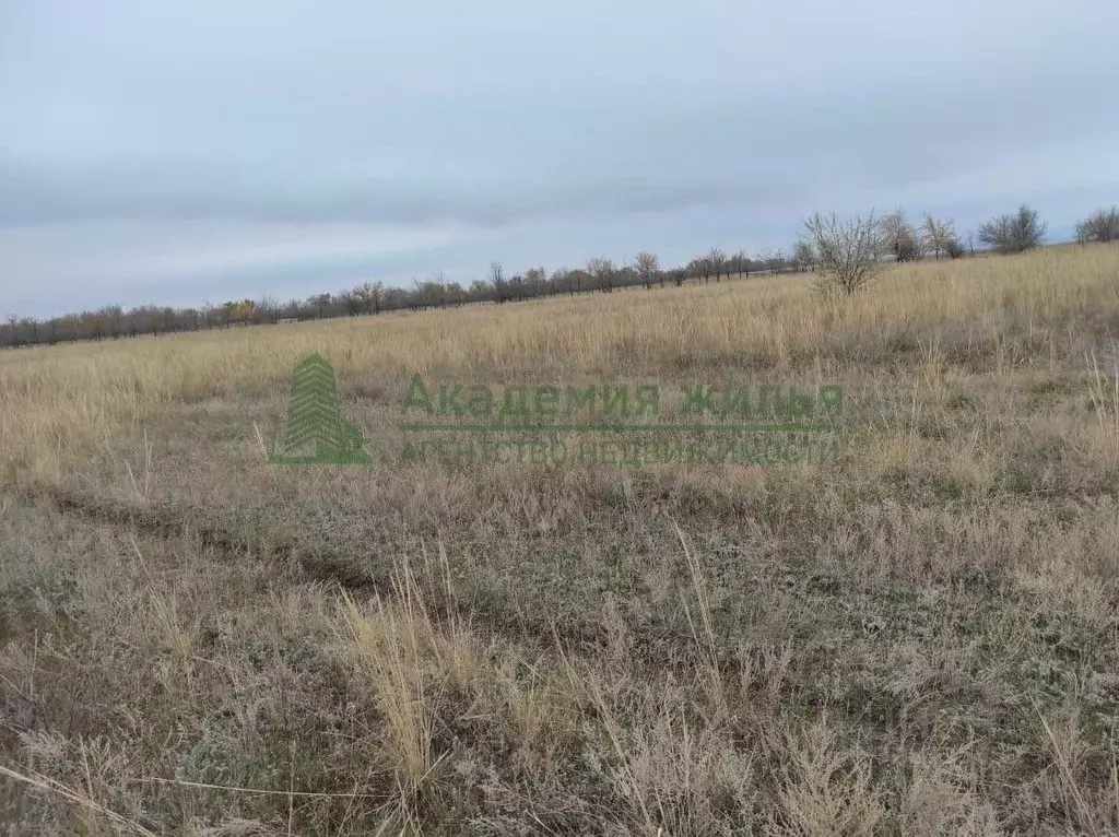 Участок в Саратовская область, Энгельсский район, Терновское ... - Фото 2