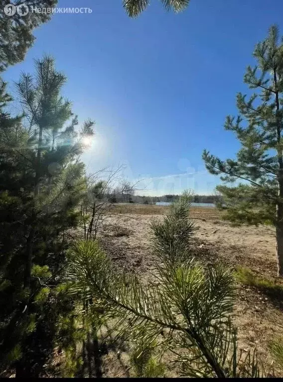 Участок в село Толмачёво, Озёрная улица (1.57 м) - Фото 1