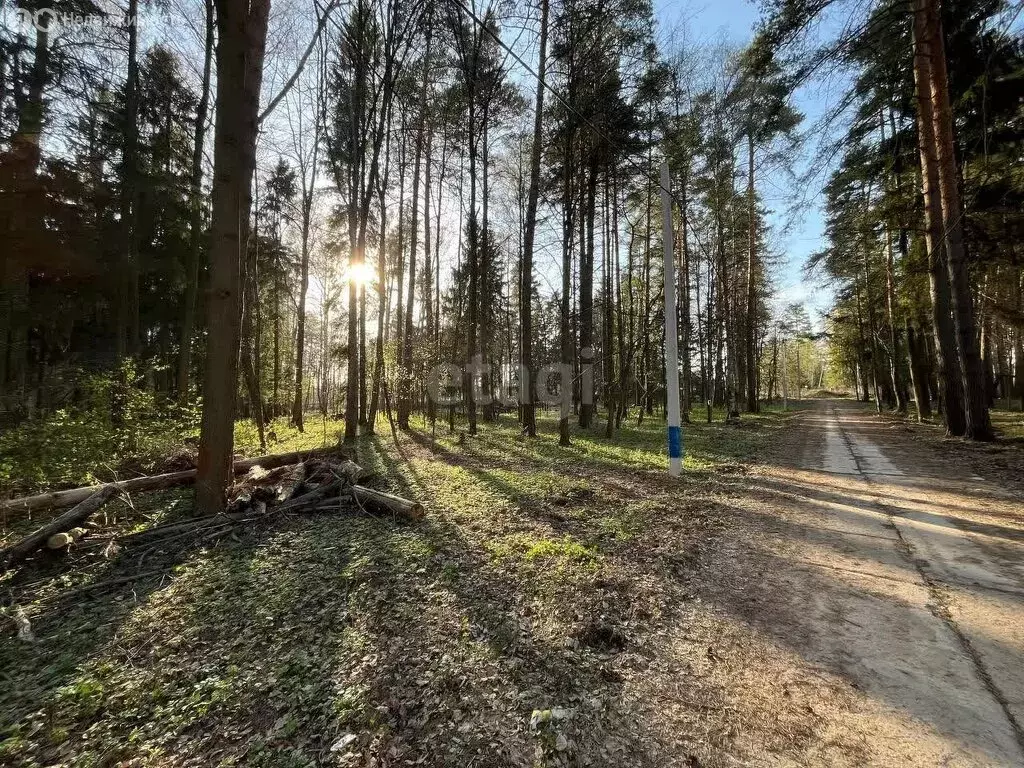 Участок в деревня Прохорово, Рябиновая улица (6 м) - Фото 2