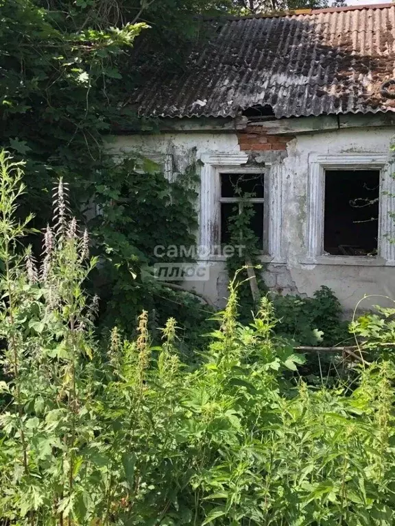 Участок в Московская область, Луховицы муниципальный округ, д. ... - Фото 1