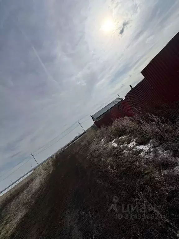 Участок в Самарская область, Красный Яр с/пос, с. Нижняя Солонцовка ... - Фото 2