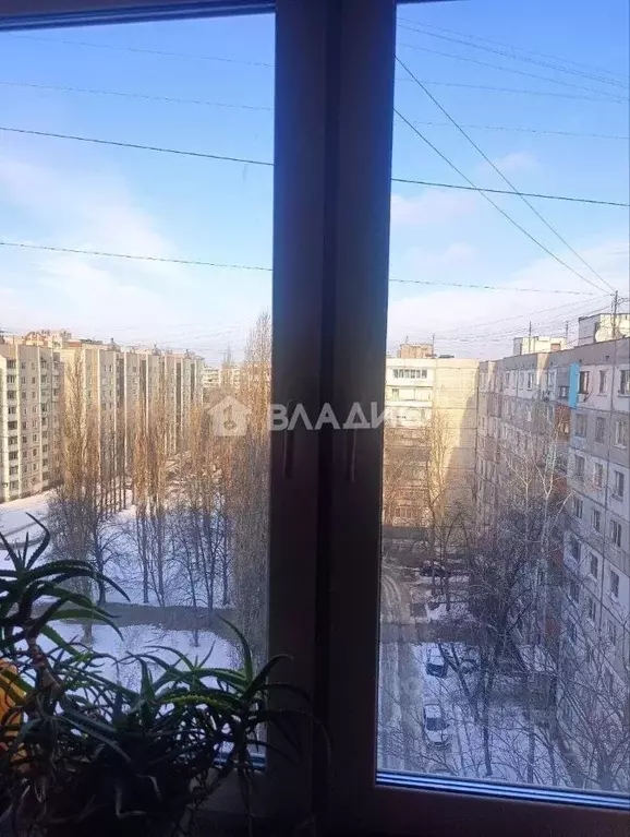 3-к кв. Воронежская область, Воронеж ул. Маршала Жукова, 3 (62.2 м) - Фото 2