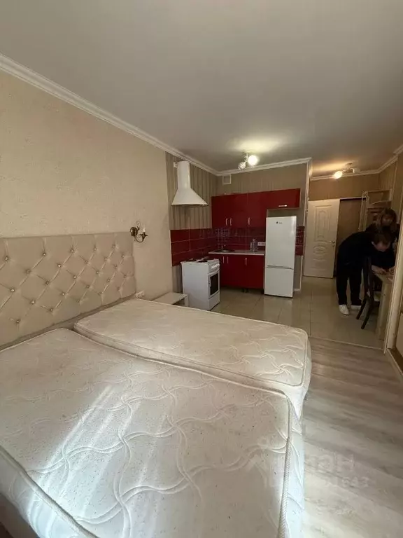 Студия Московская область, Одинцовский городской округ, с. Немчиновка ... - Фото 2