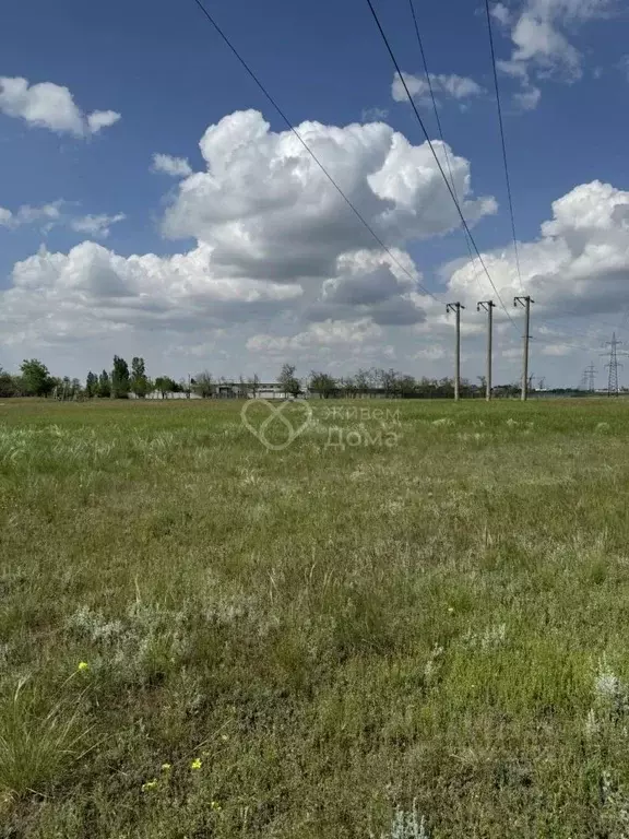 Участок в Волгоградская область, Городищенский район, Царицынское ... - Фото 1