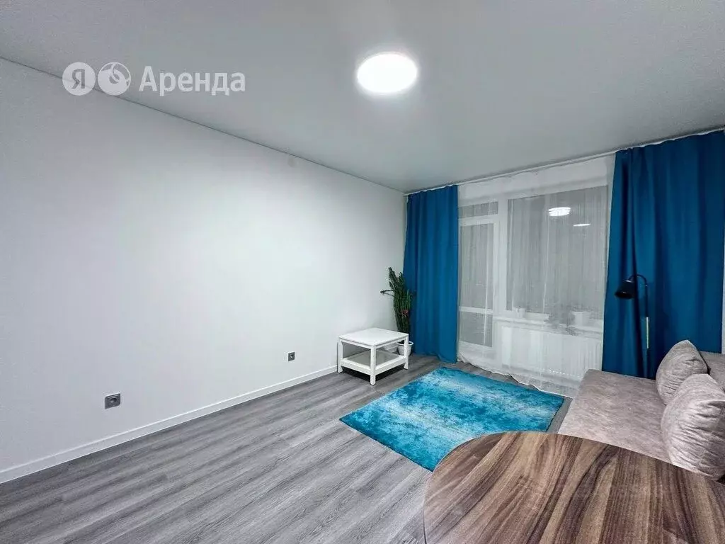 Студия Санкт-Петербург Пулковское ш., 95к3 (24.0 м) - Фото 1