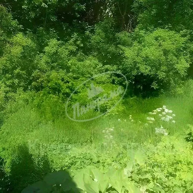 Участок в Калужская область, Калуга Киевский проезд, 35 (5.5 сот.) - Фото 2