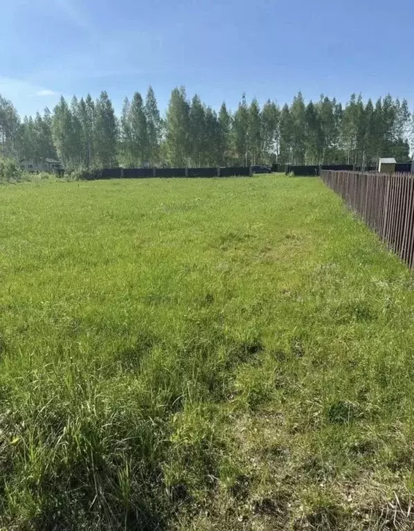 Участок в Ярославская область, Рыбинский муниципальный округ, ... - Фото 0