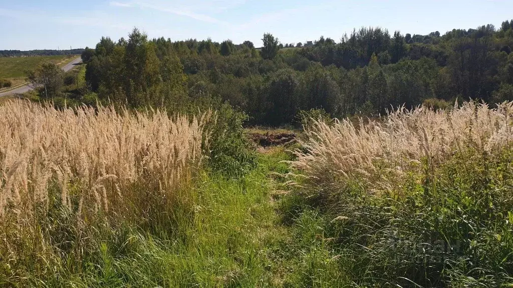 Участок в Московская область, Сергиево-Посадский городской округ, д. ... - Фото 1