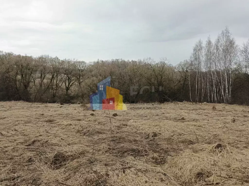 Участок в Тульская область, Тула городской округ, д. Горюшино, ... - Фото 2