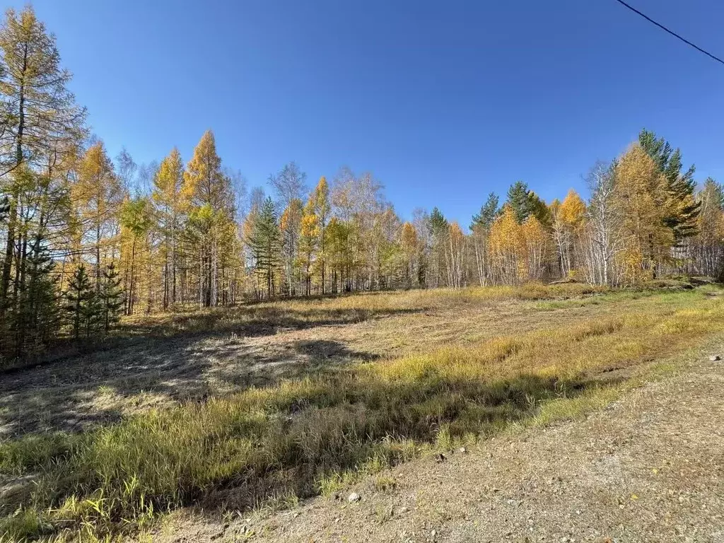 Участок в Забайкальский край, Читинский район А-350, 26-й км (96.42 ... - Фото 1