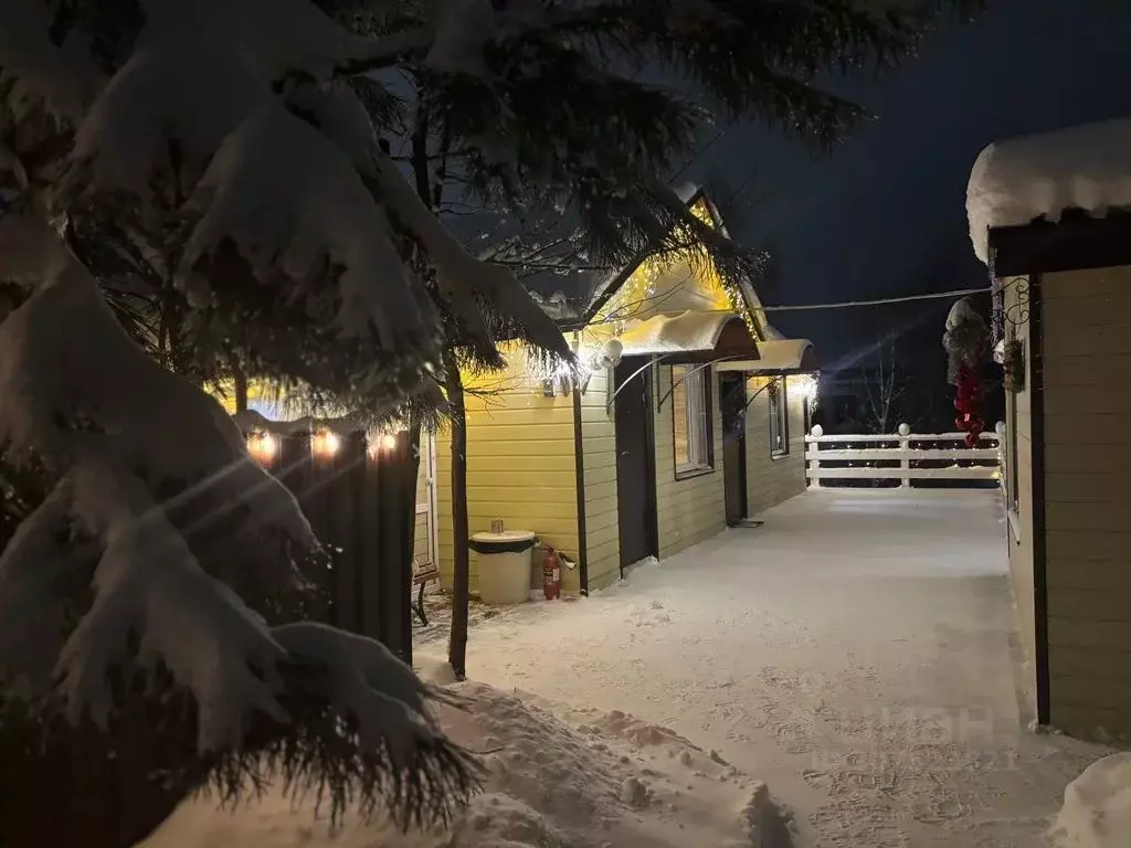 Дом в Нижегородская область, Нижний Новгород с. Большая Ельня, ул. ... - Фото 1