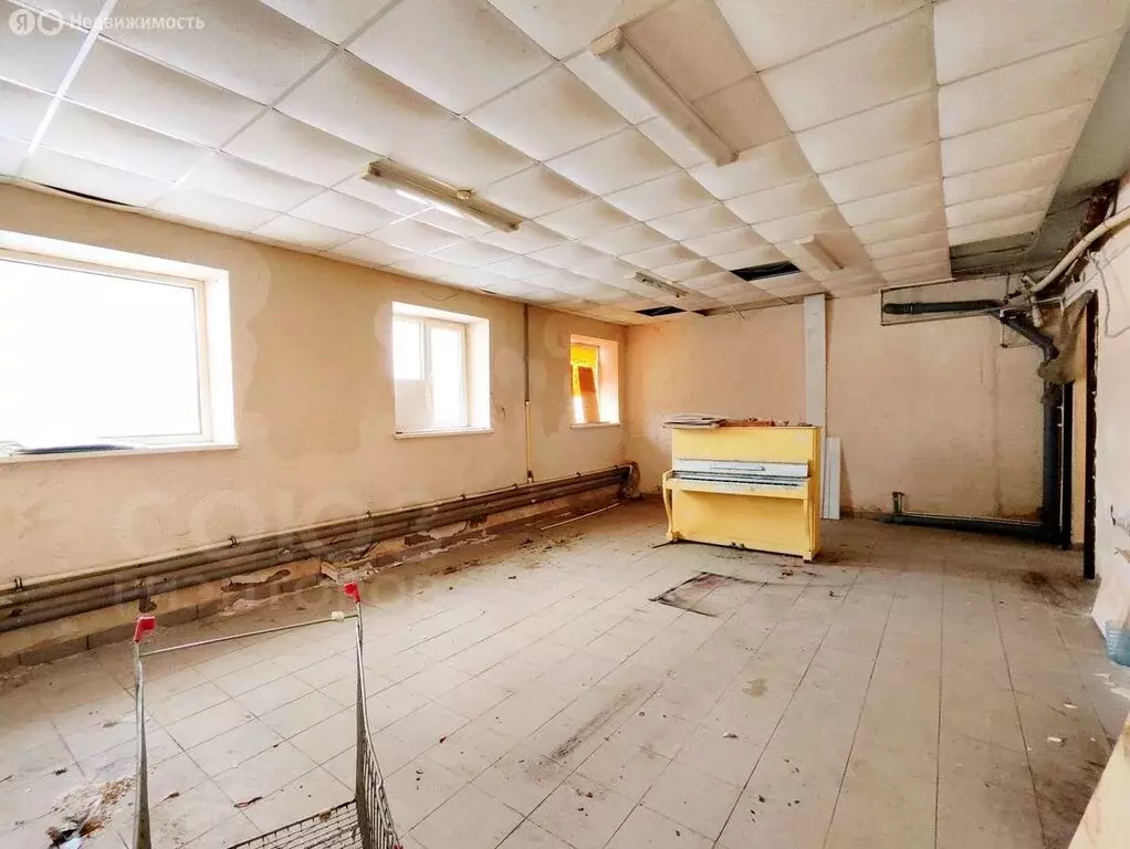 Помещение свободного назначения (43 м) - Фото 1