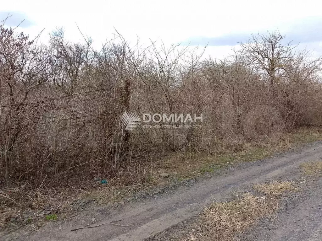 Участок 10 сот. (СНТ, ДНП) - Фото 1