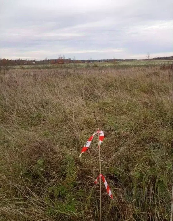 Участок в Ленинградская область, Тосненский район, Любанское городское ... - Фото 2