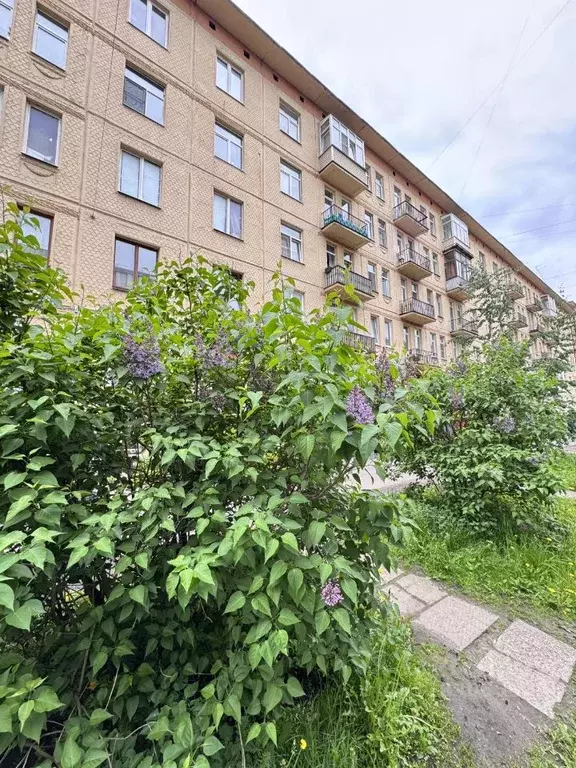 Комната Санкт-Петербург Парголовская ул., 7 (15.0 м) - Фото 0