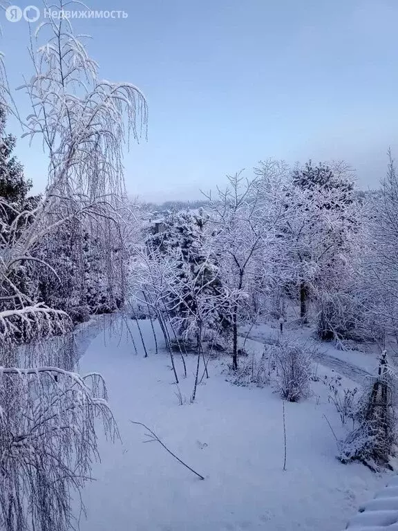 Участок в Тамбовская область, Знаменский муниципальный округ, деревня ... - Фото 1