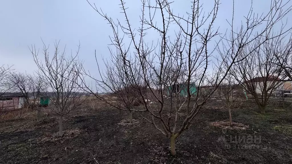 Участок в Ростовская область, Родионово-Несветайский район, ... - Фото 1