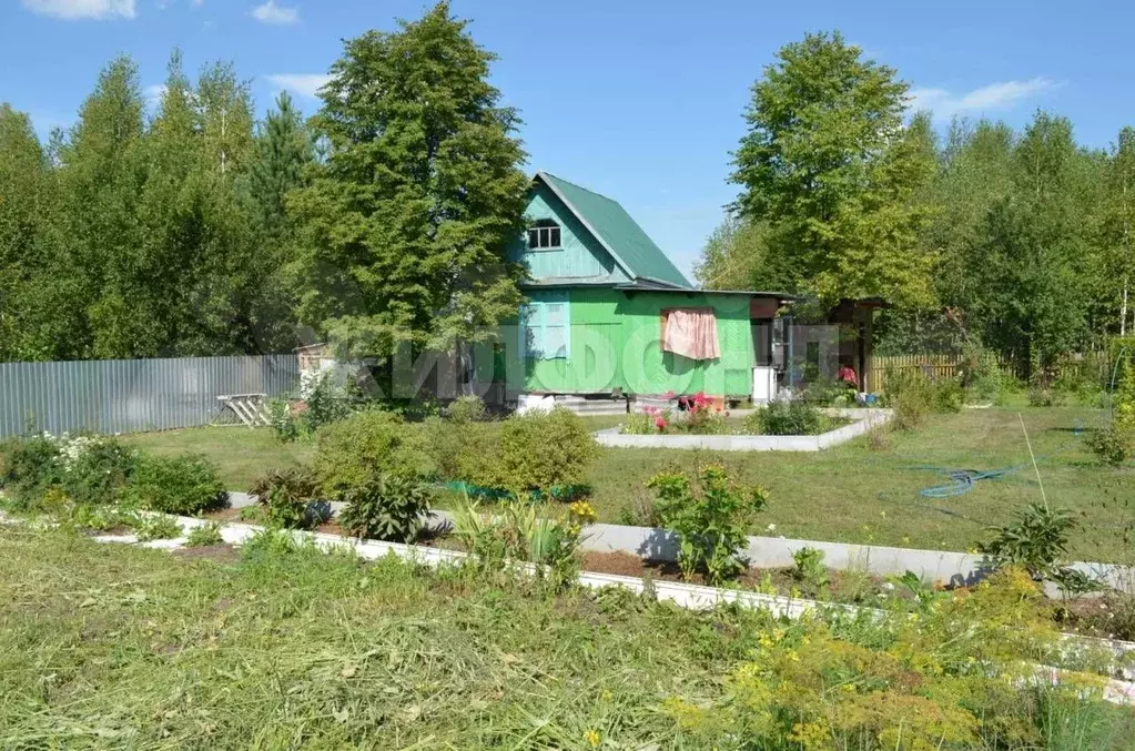 Дача 60 м на участке 11 сот. - Фото 1