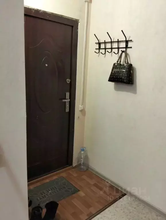 Студия Алтайский край, Барнаул тракт Павловский, 78А (12.4 м) - Фото 1