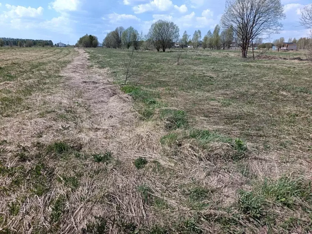 Участок в Нижегородская область, Дивеевский муниципальный округ, д. ... - Фото 1