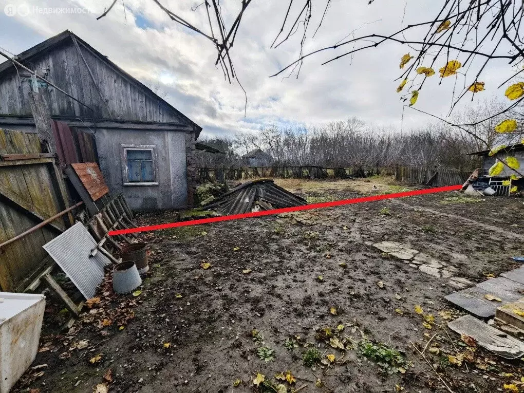 Дом в Высокский сельсовет, деревня Звягинцево, 47 (42 м) - Фото 2