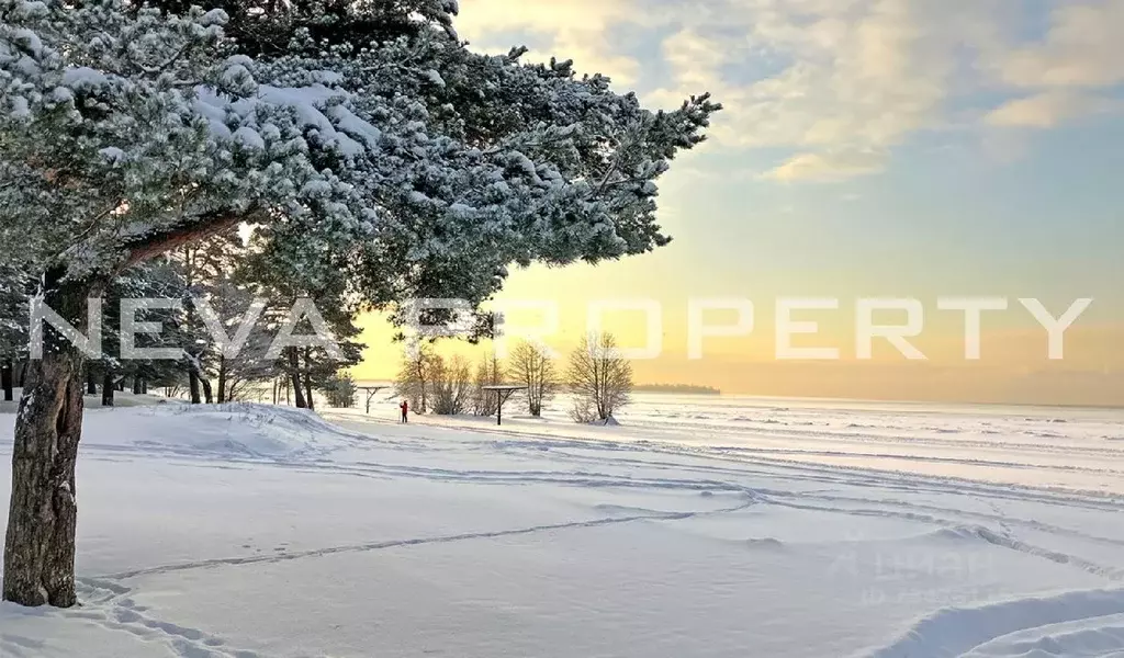 Участок в Санкт-Петербург, Санкт-Петербург, Сестрорецк Курортная ул. ... - Фото 0